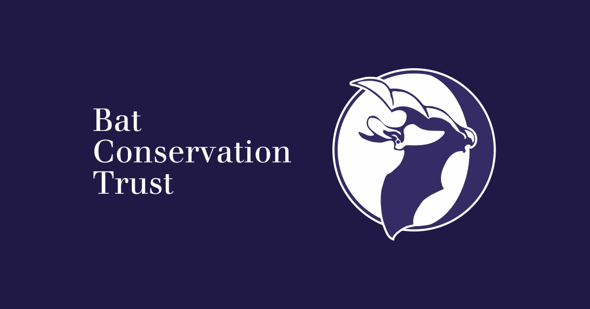 The Bat Conservation Trust have brilliant advice and resources on their website, as well as the National Bat Helpline to answer any questions.