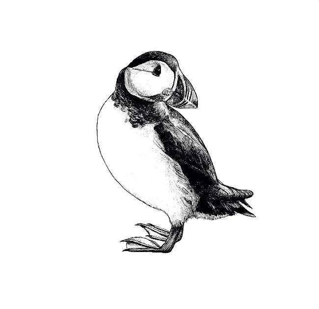 Puffin Creature Candy.png