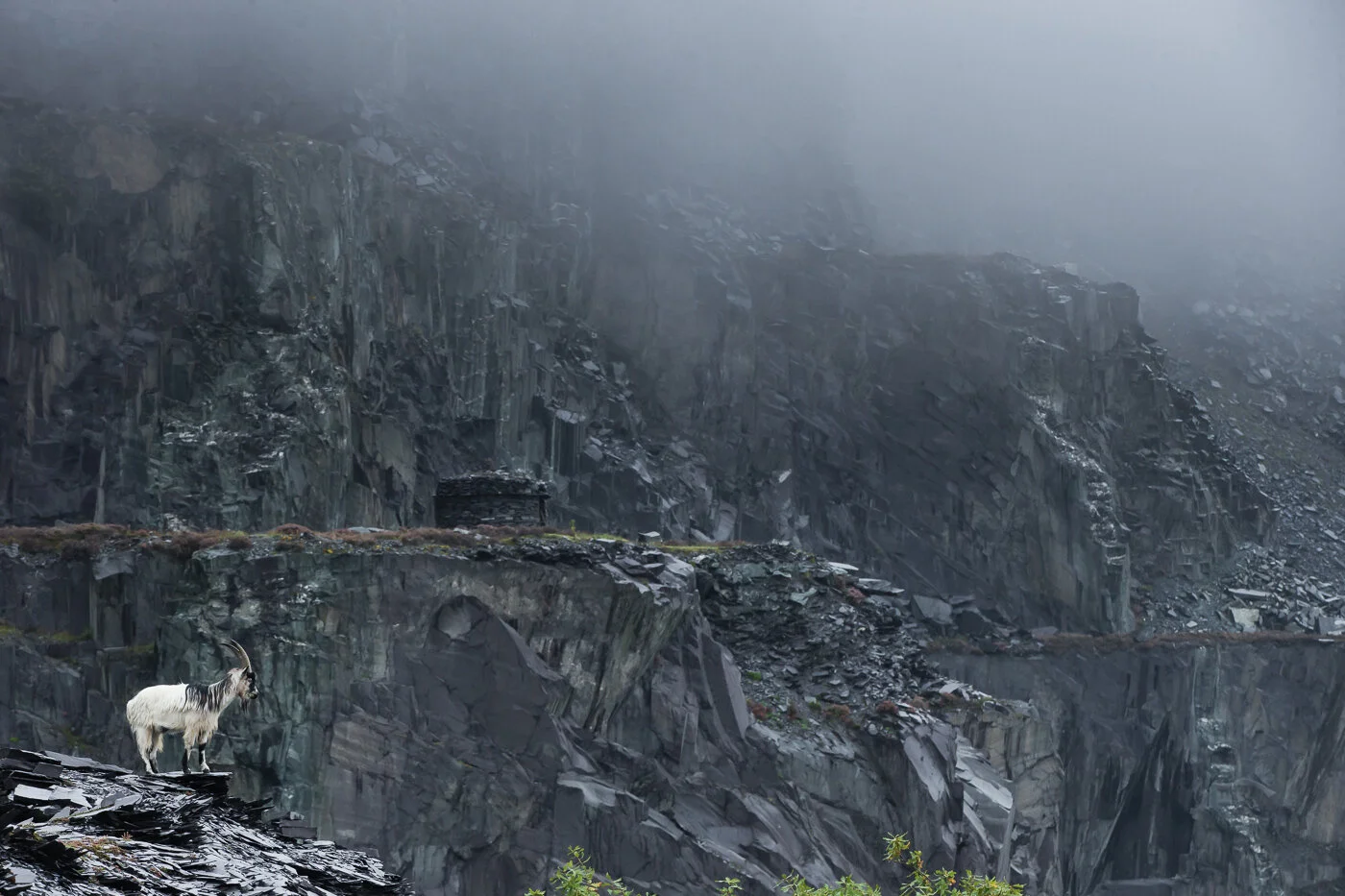 Slate-Wasteland (2).jpg