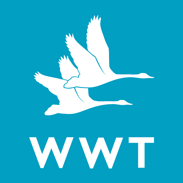 wildfowl-wetland-trust.png