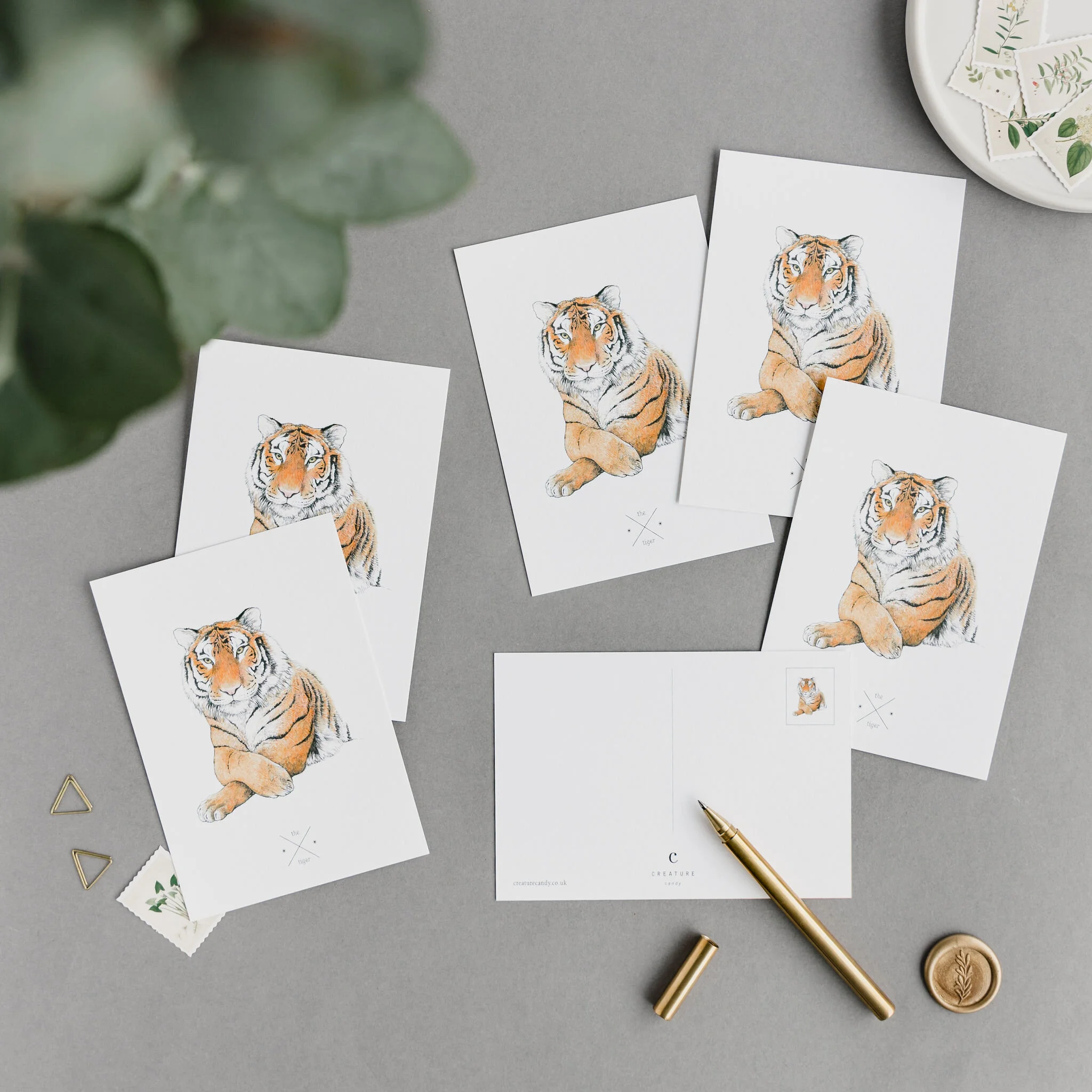 Tiger Postcards set.jpg