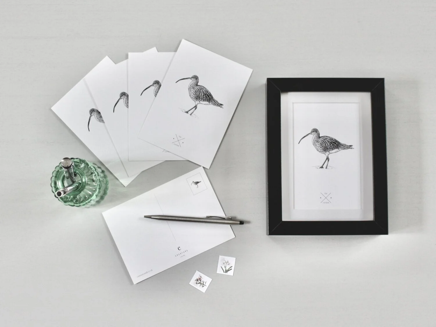 Curlew+Postcards.jpg