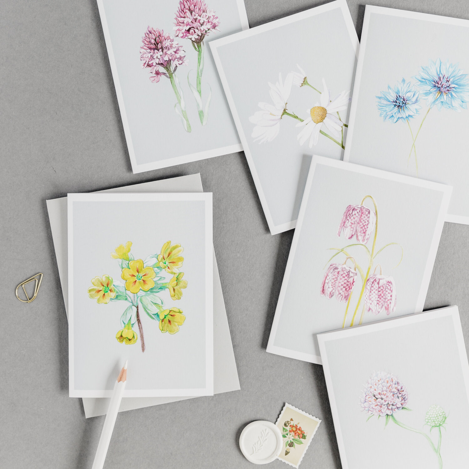 Set of Botanical Cards
