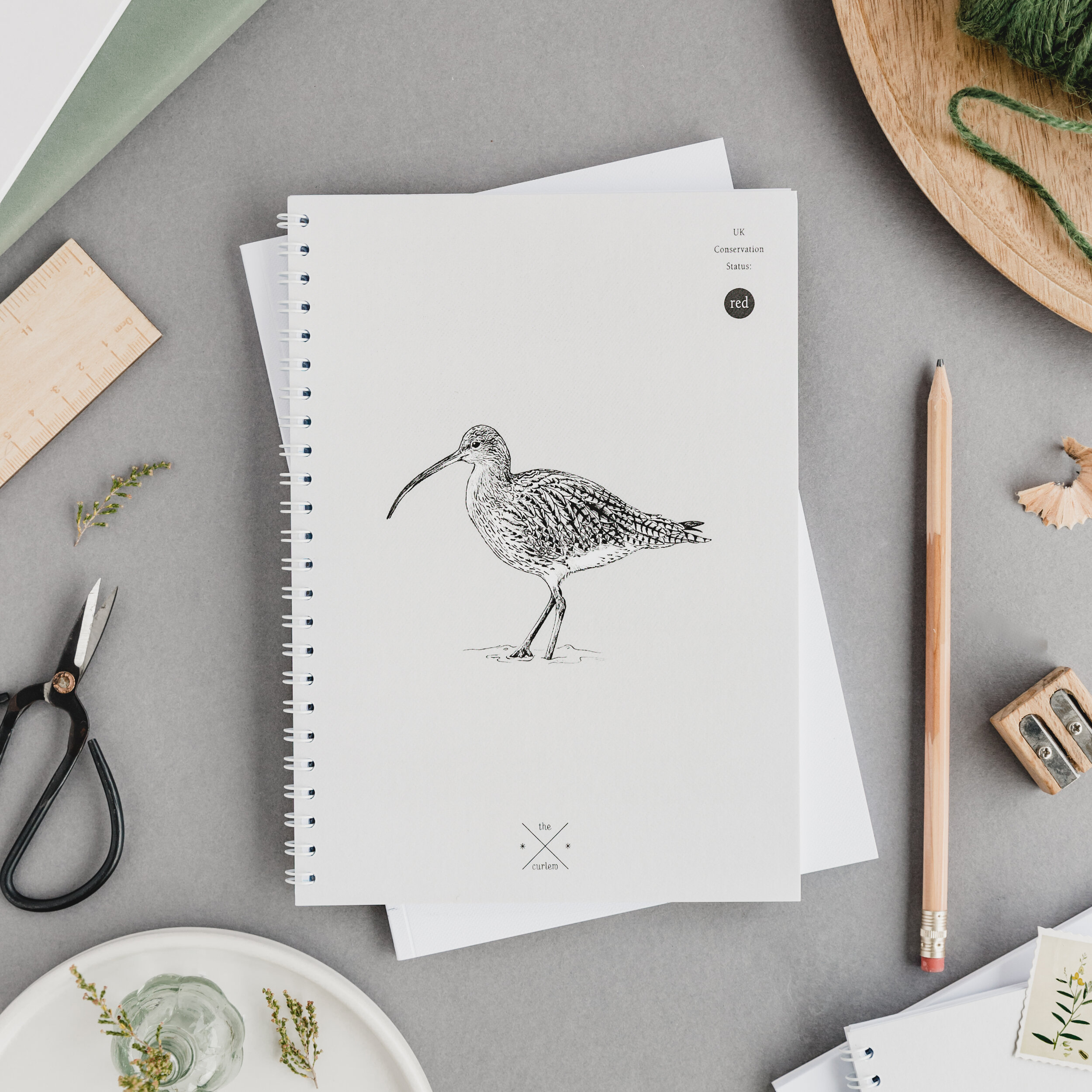 Curlew Notebook