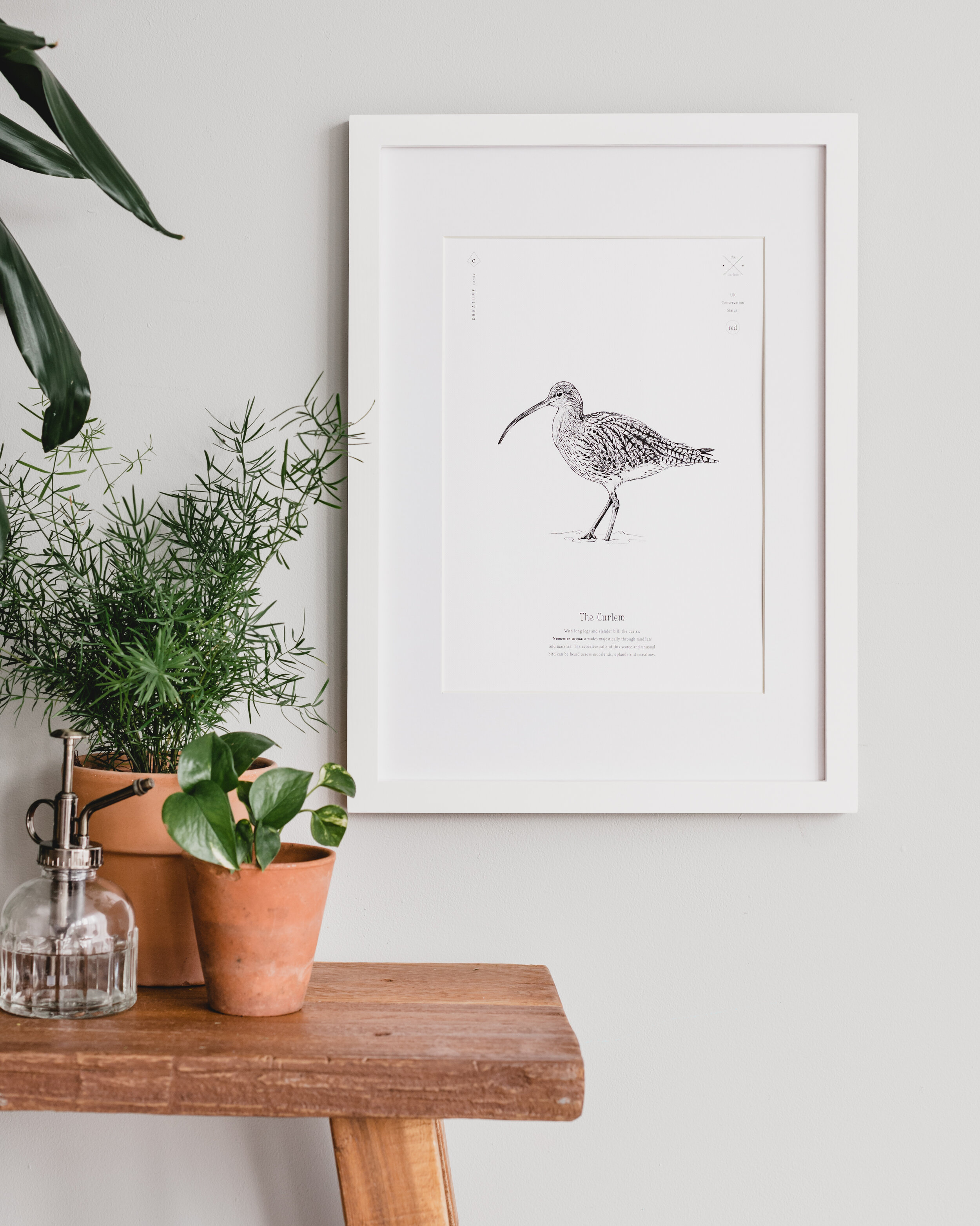 Curlew Print