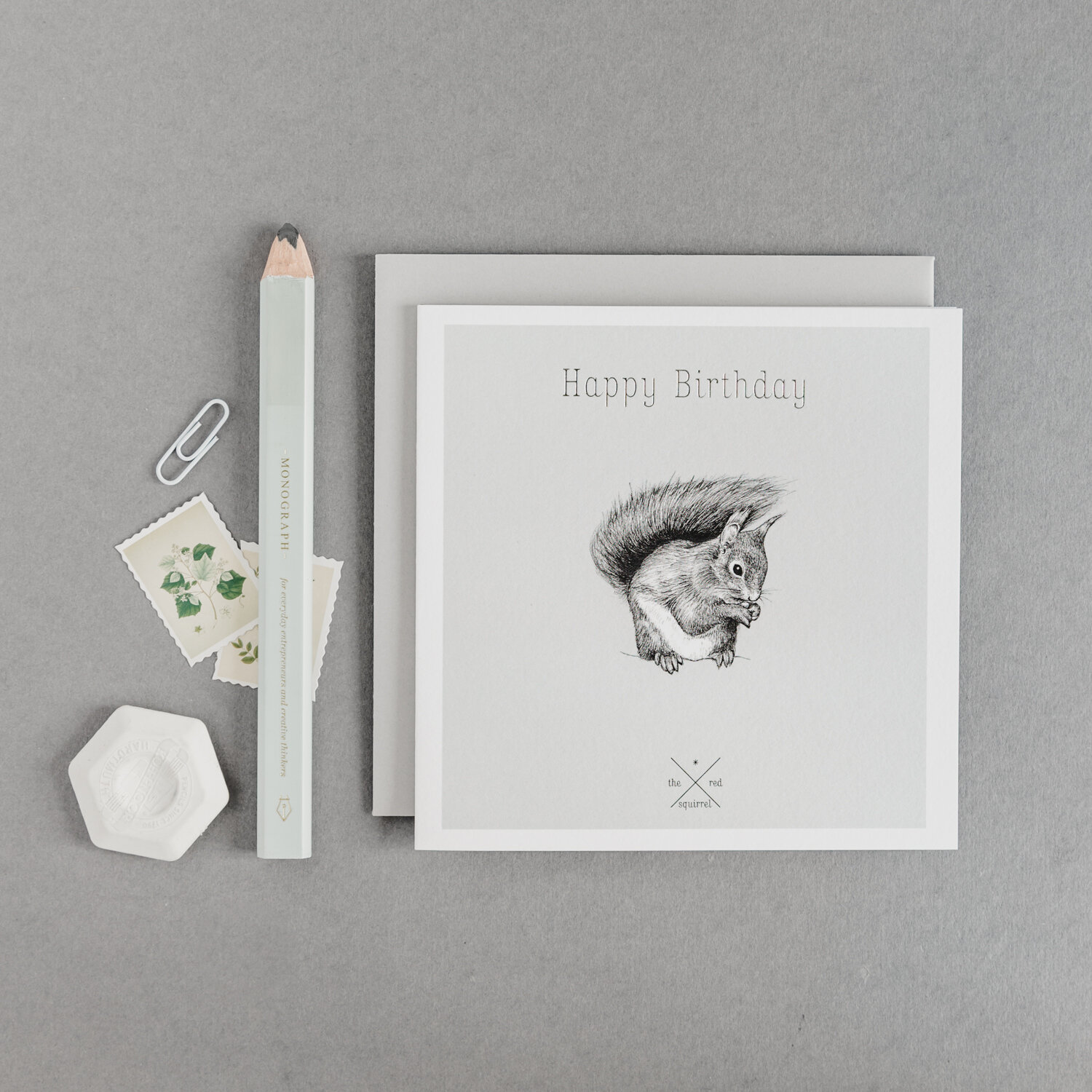 Birthday card squirrel.jpg