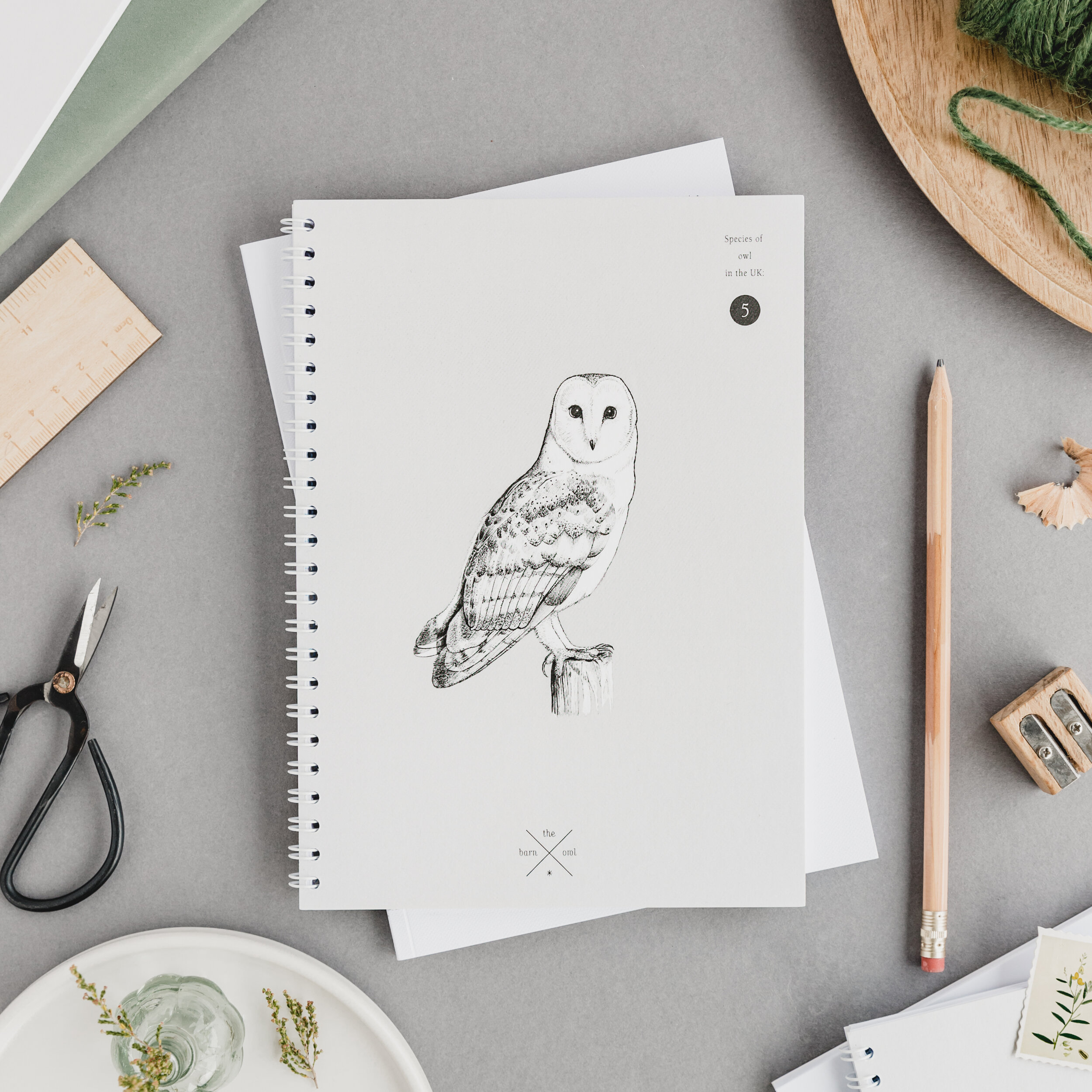 Barn owl notebook (high res) copy.jpg