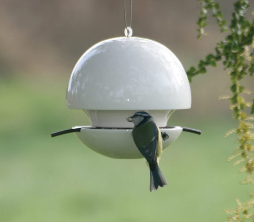 bird feeder.png