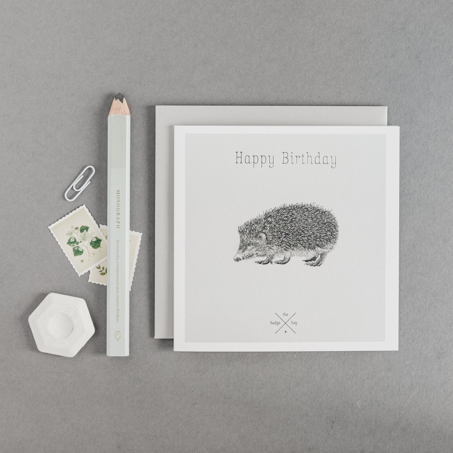 Birthday card hedgehog.jpg