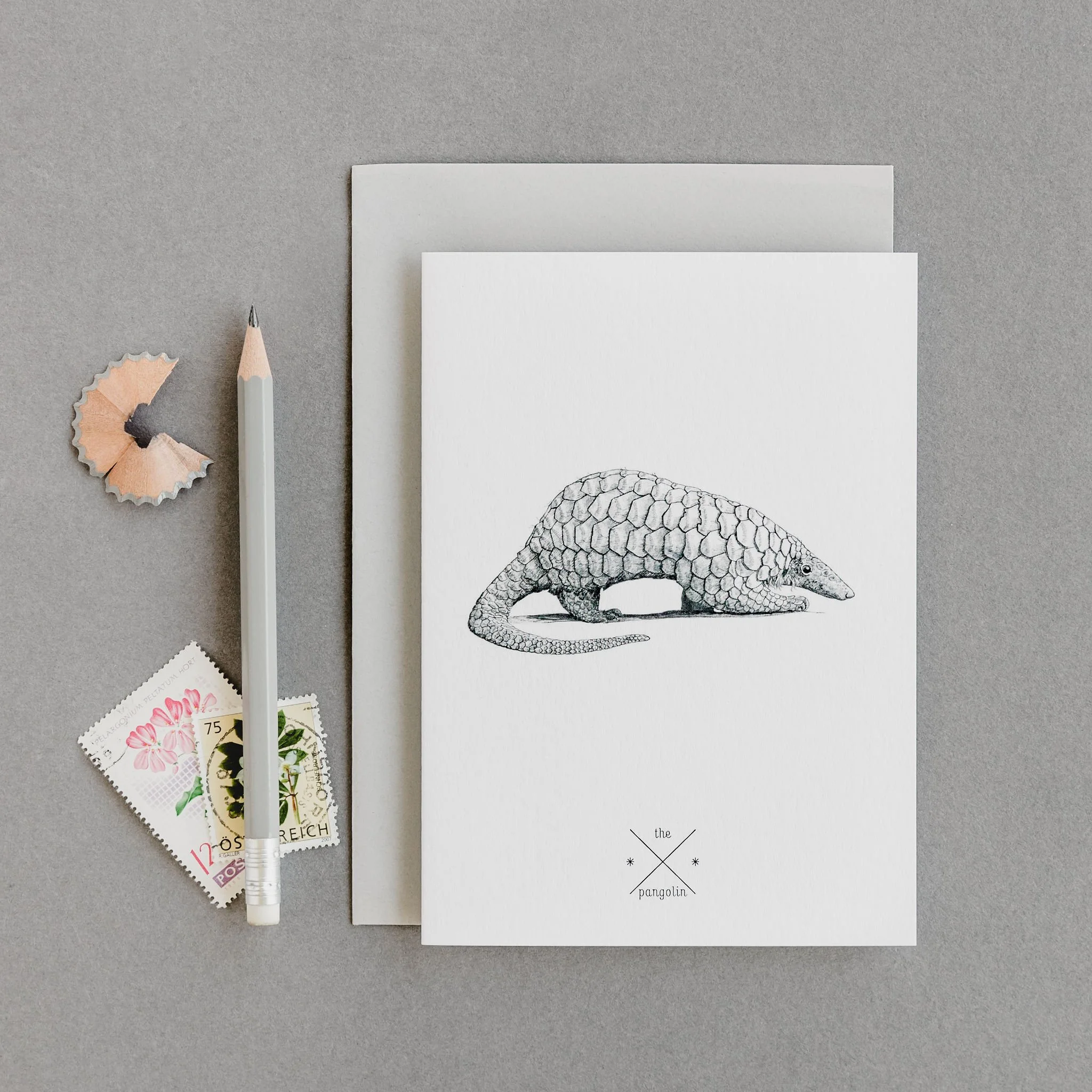 Pangolin Card Front.jpg