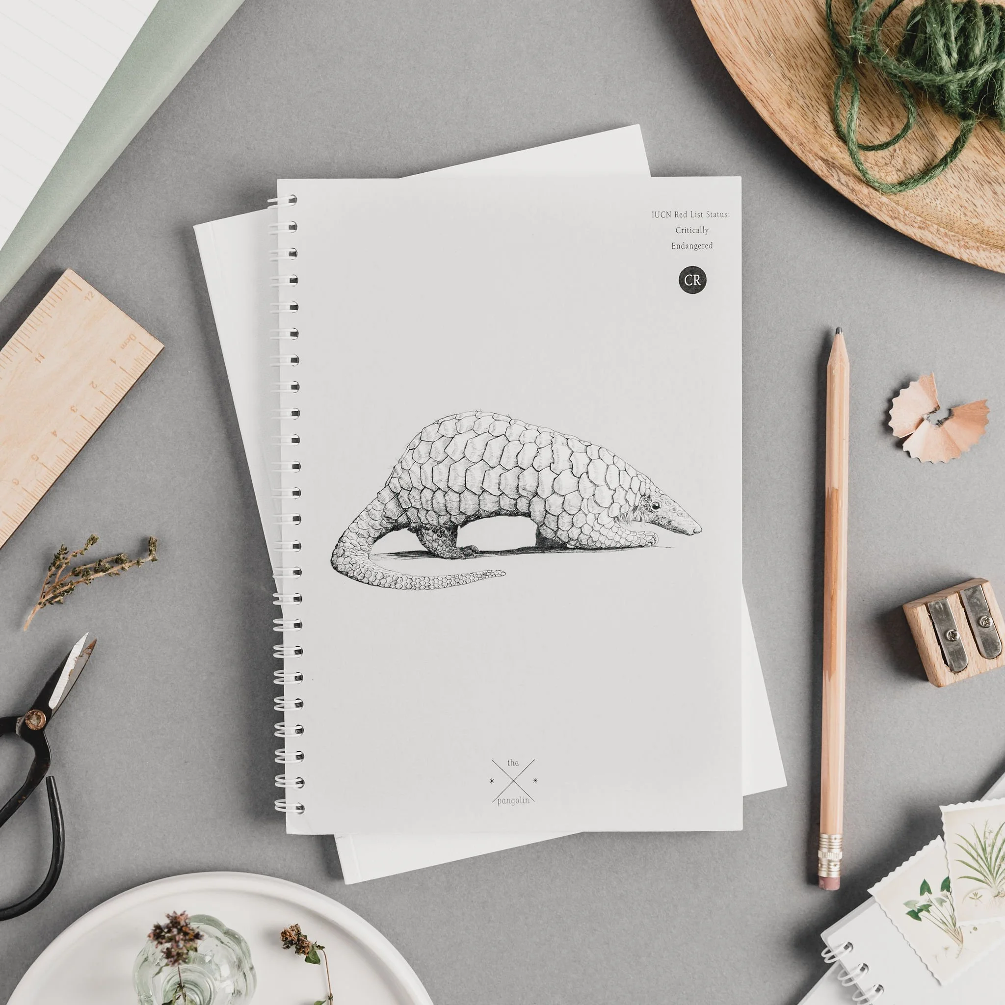Pangolin Notebook.jpg