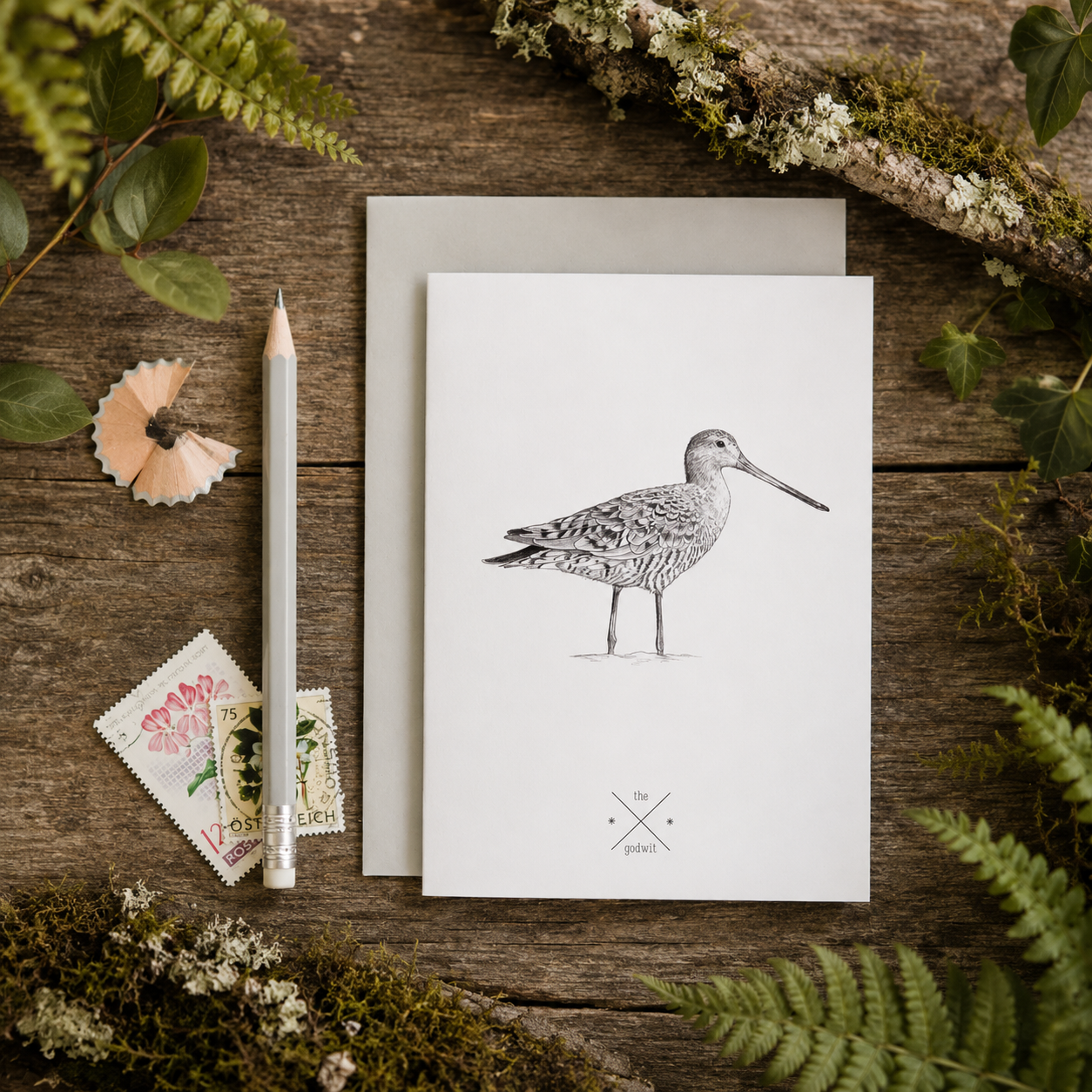 Godwit Greetings Card