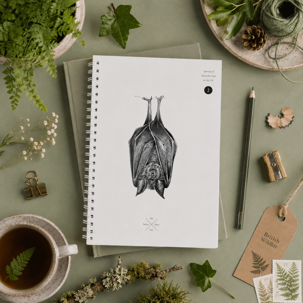 Horseshoe Bat Notebook