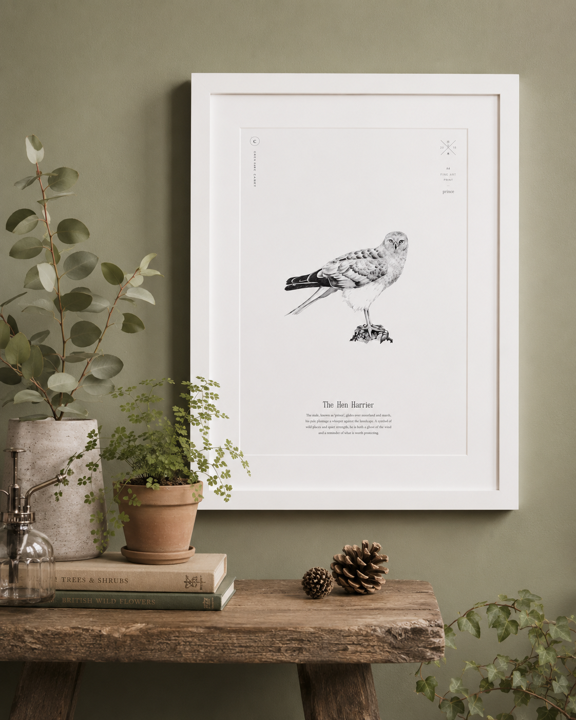 Hen Harrier Print