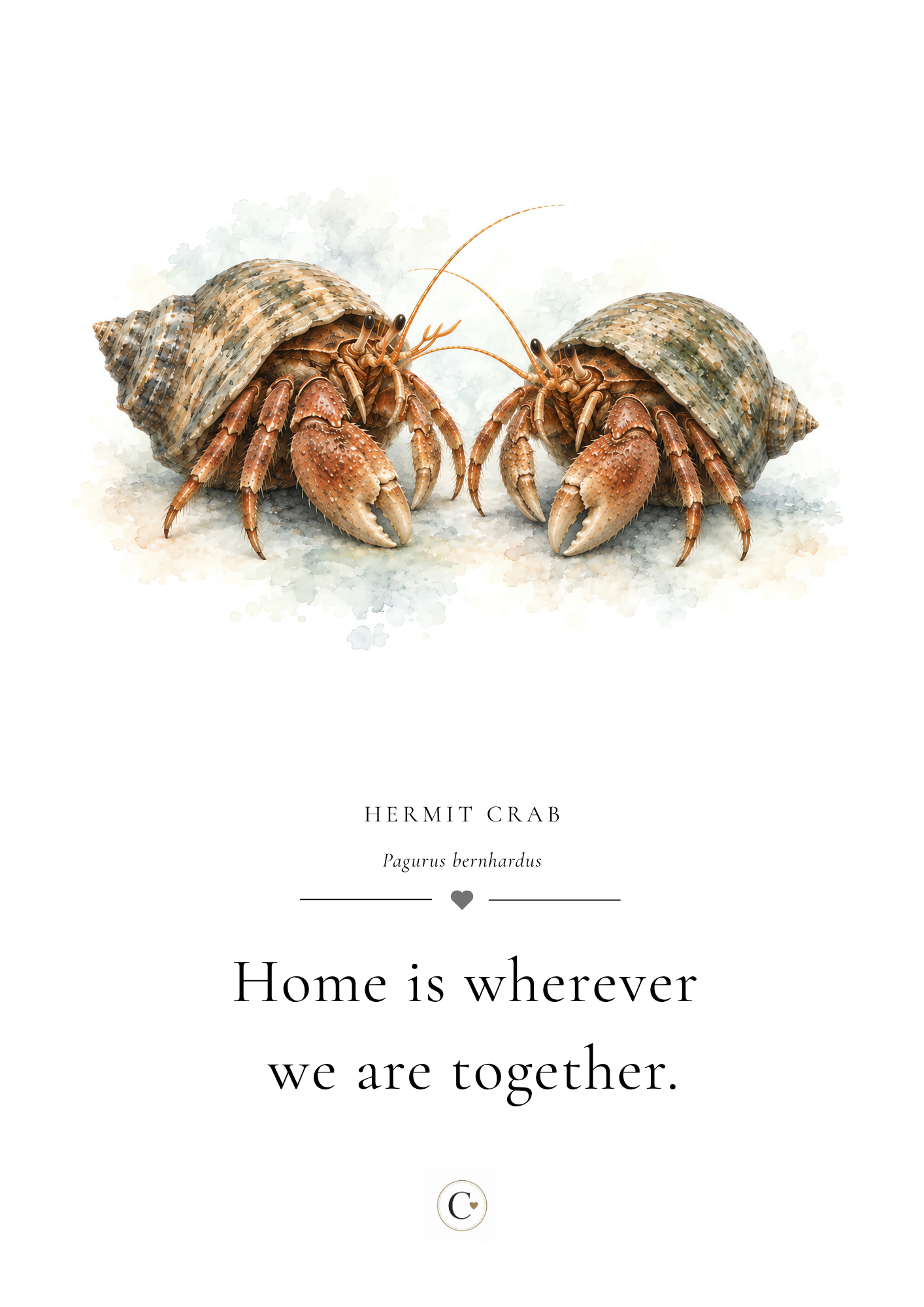 Christmas Gift Hermit Crab A4 Print.png