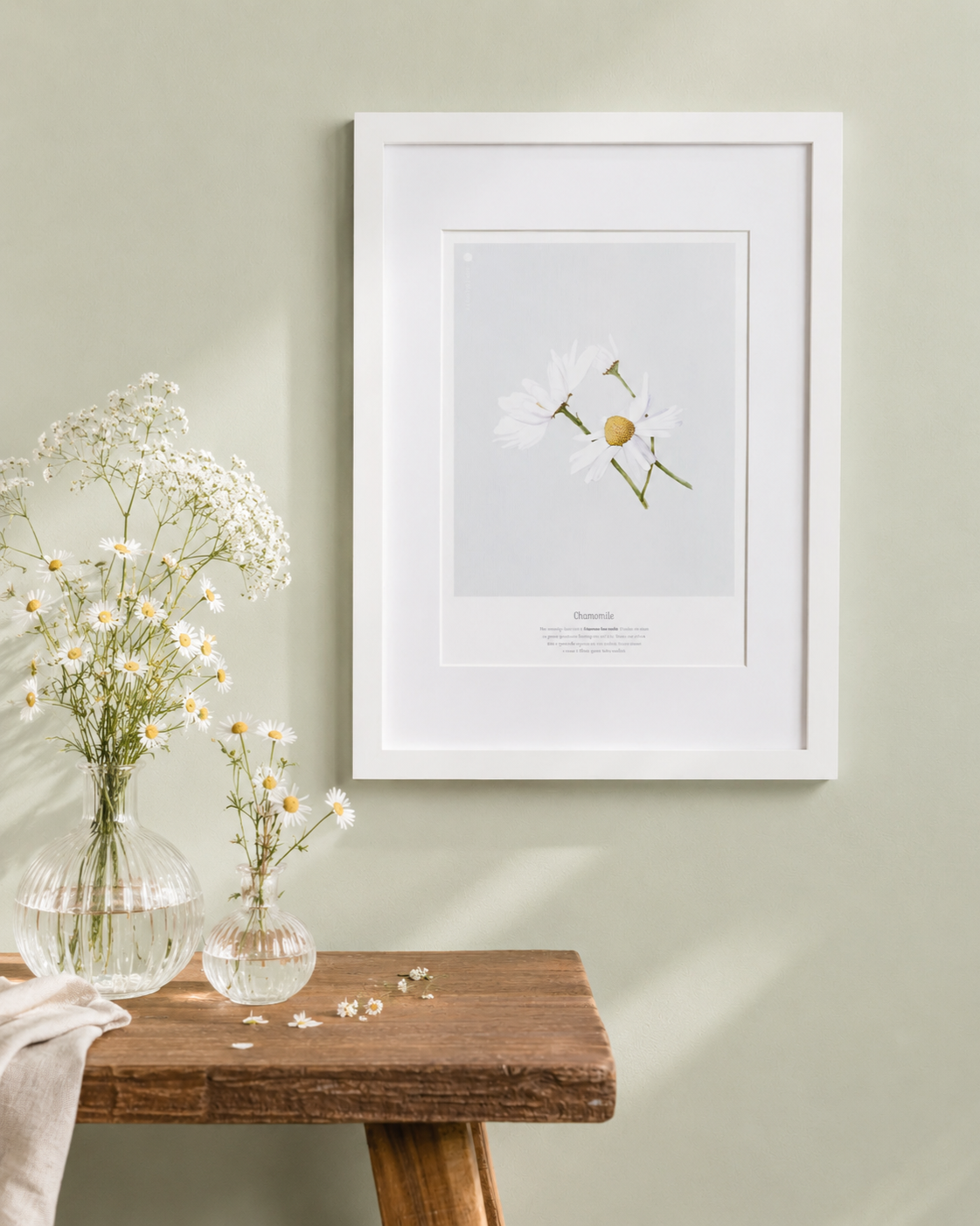 Print+Chamomile.png
