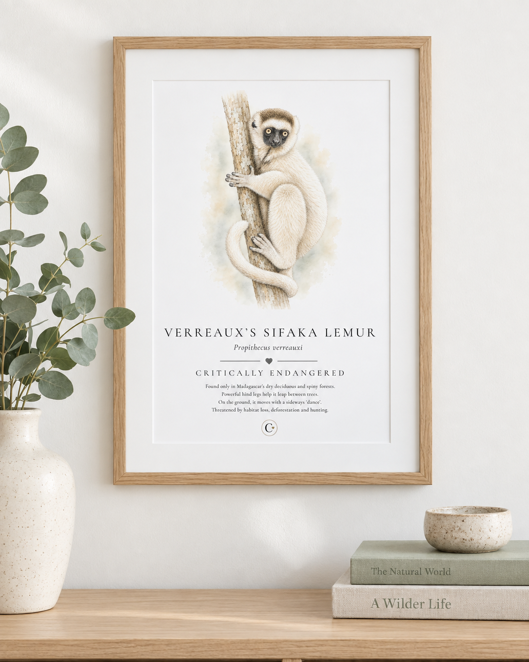 Lemur+Digital+Print+Creature+Candy.png