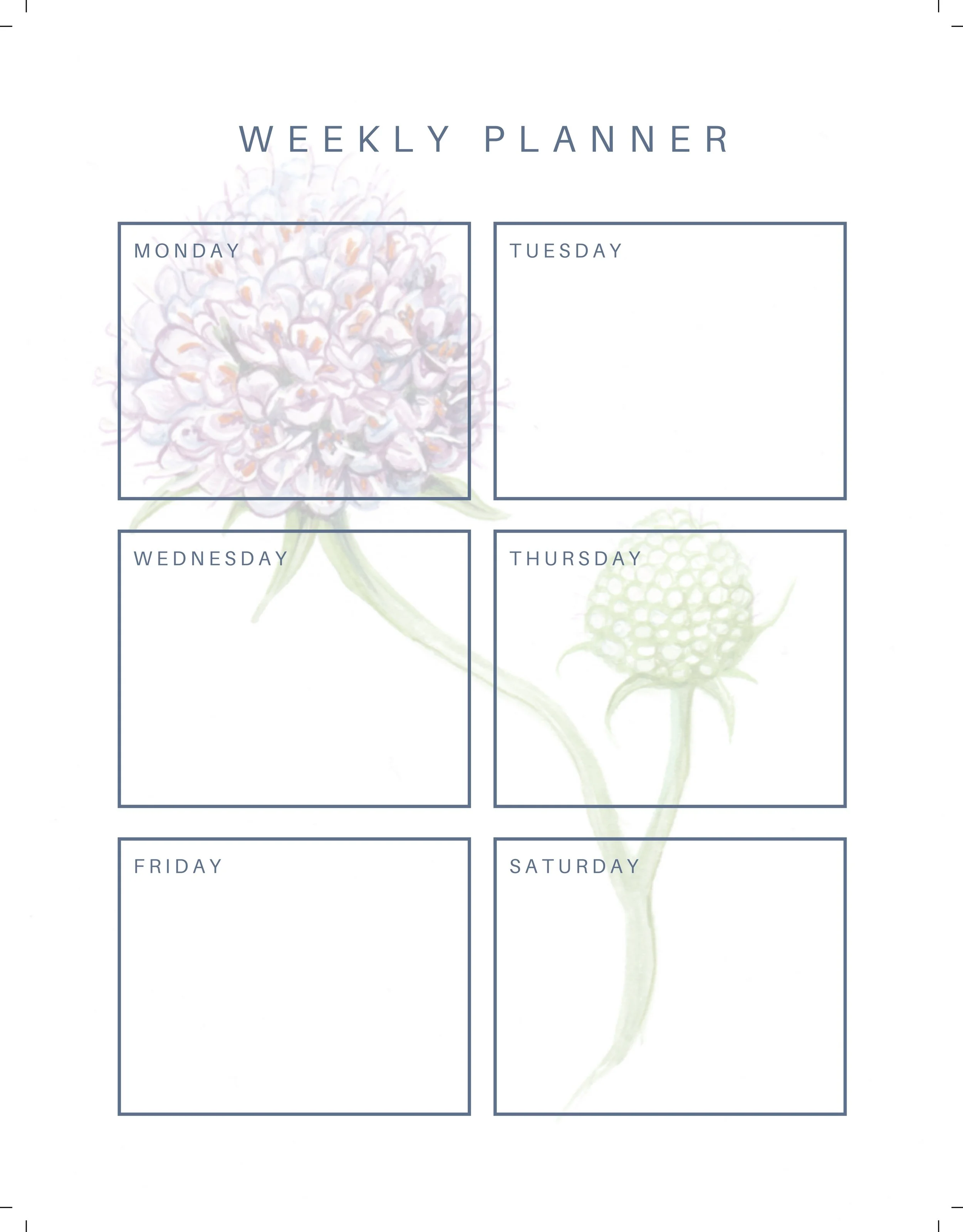 Creature Candy Weekly Planner Scabious.jpg