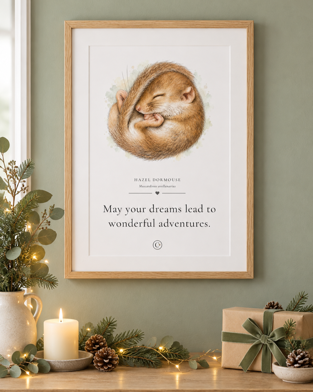 Dormouse+Christmas+Pack+Shot.png