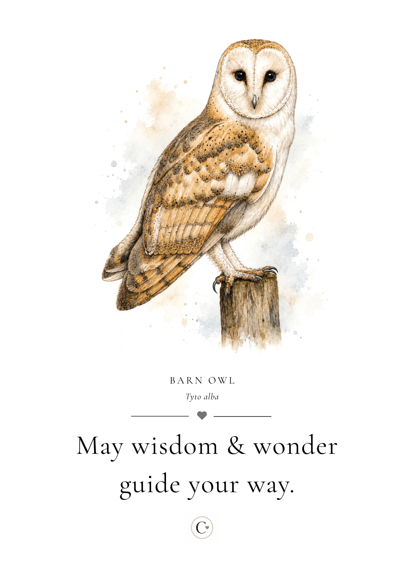 Christmas Gift Barn Owl A4 Print.png