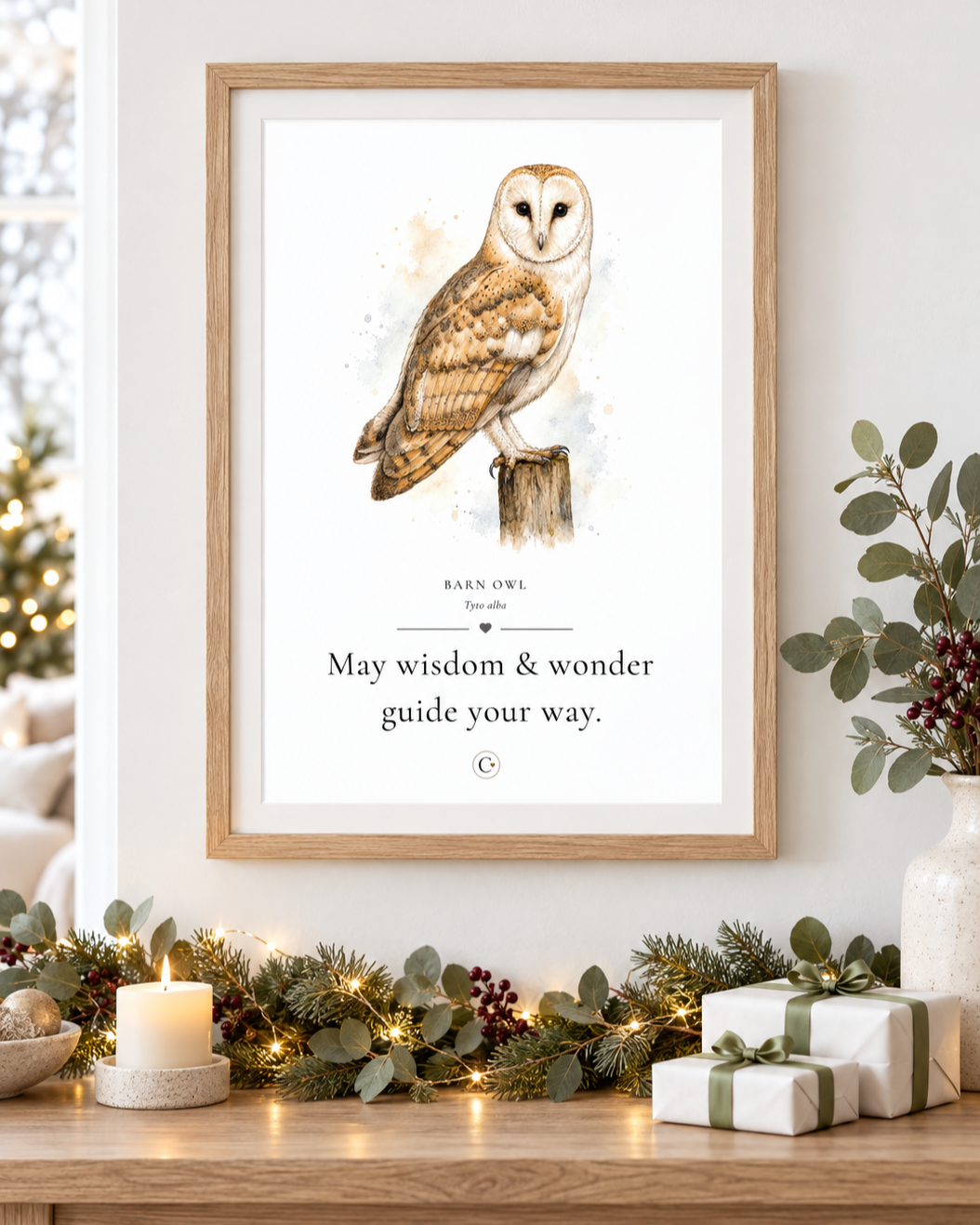 Barn+Owl+Christmas+Pack+Shot.png