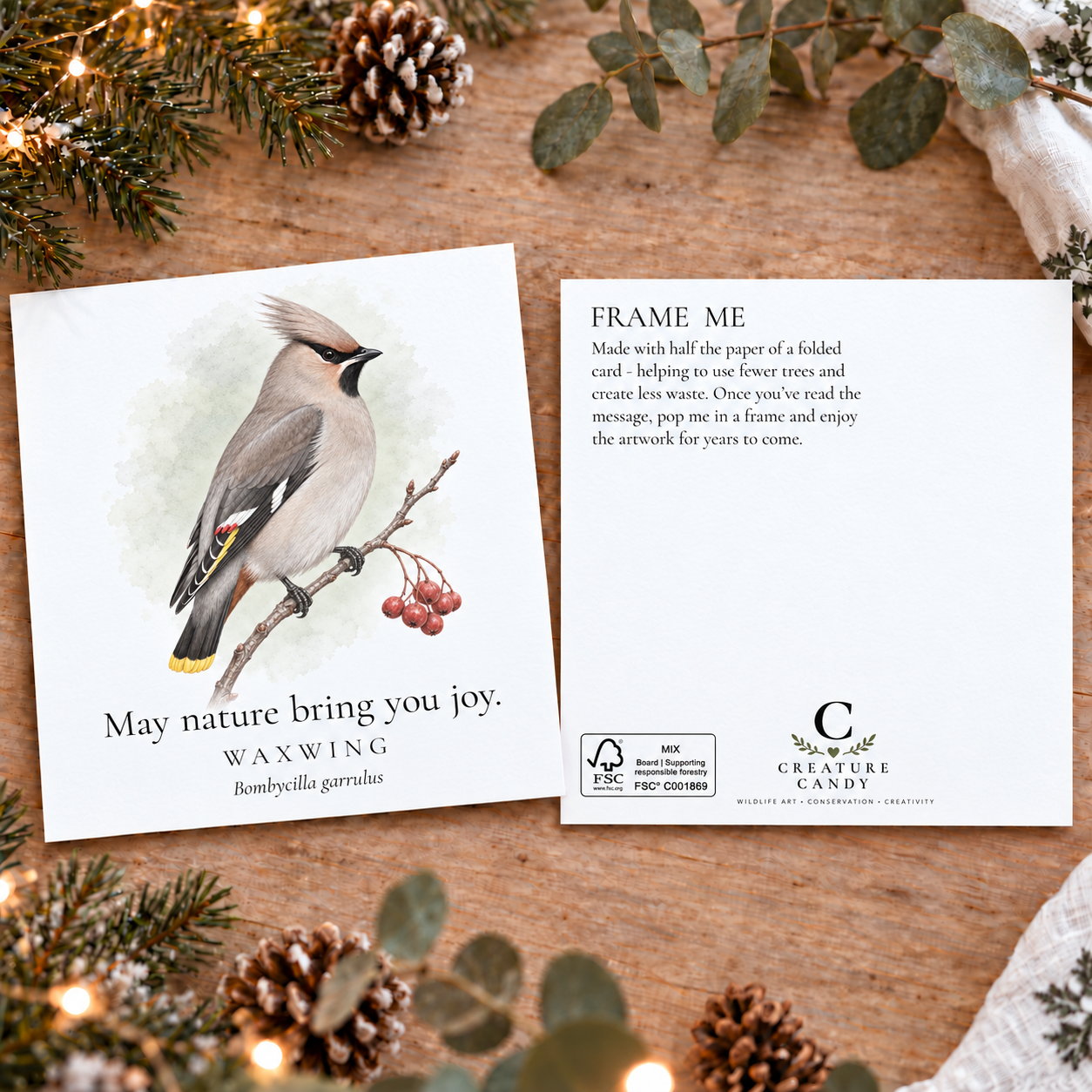 Waxwing christmas postcards pack shot.PNG