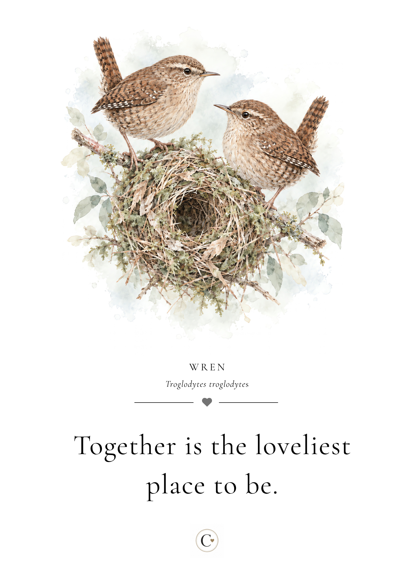 Christmas Gift Wrens Family A4 Print.png