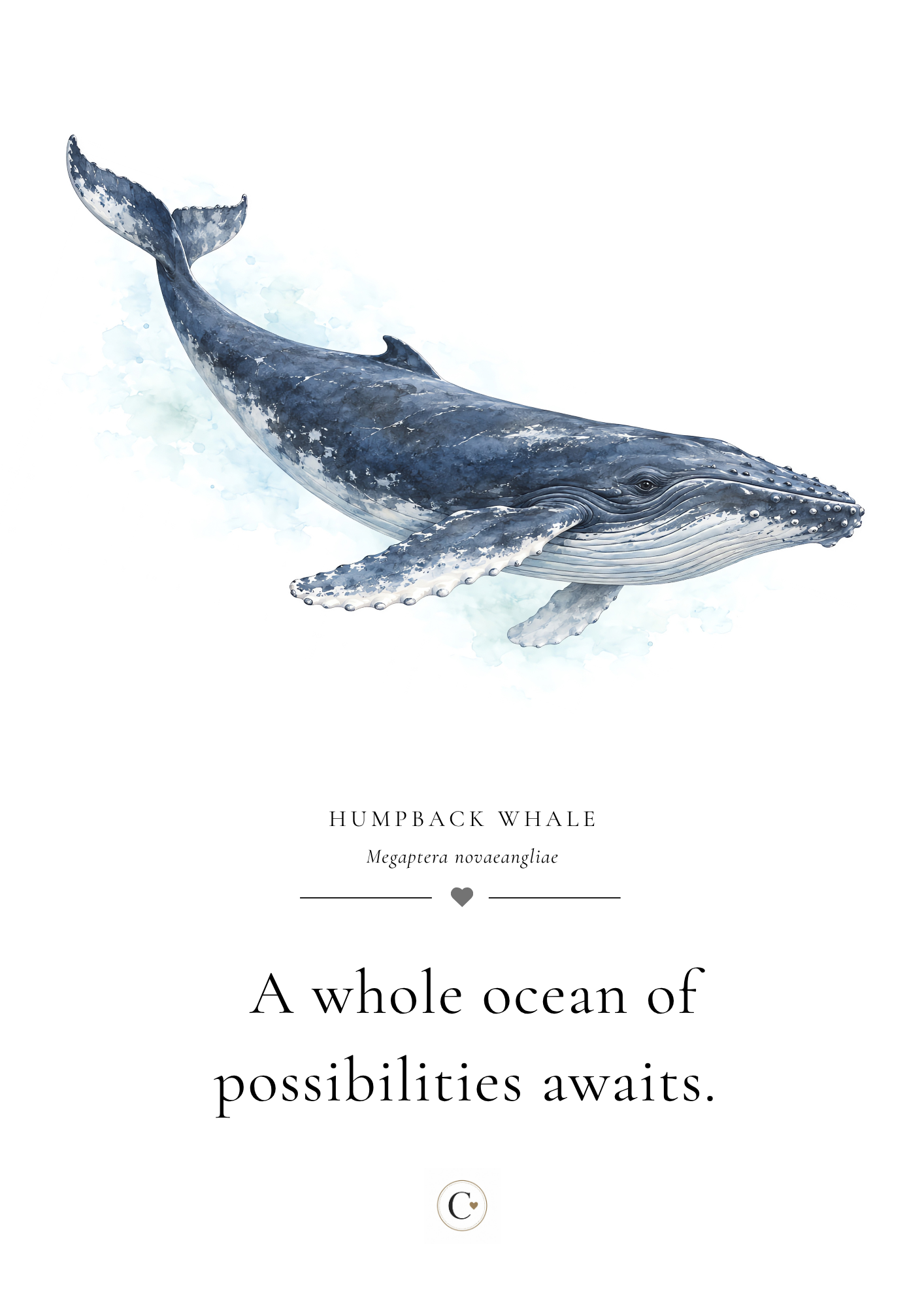 Christmas Gift Whale A4 Print.png