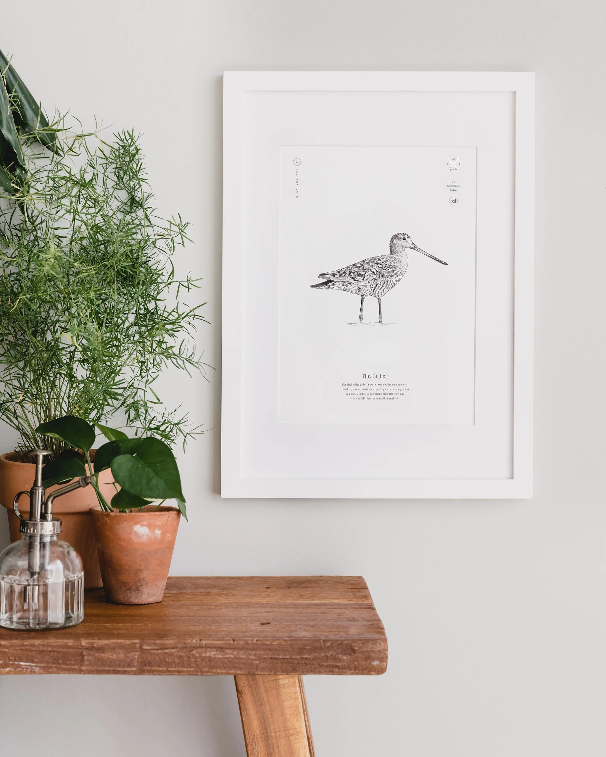 GODWIT-PRINT.jpg