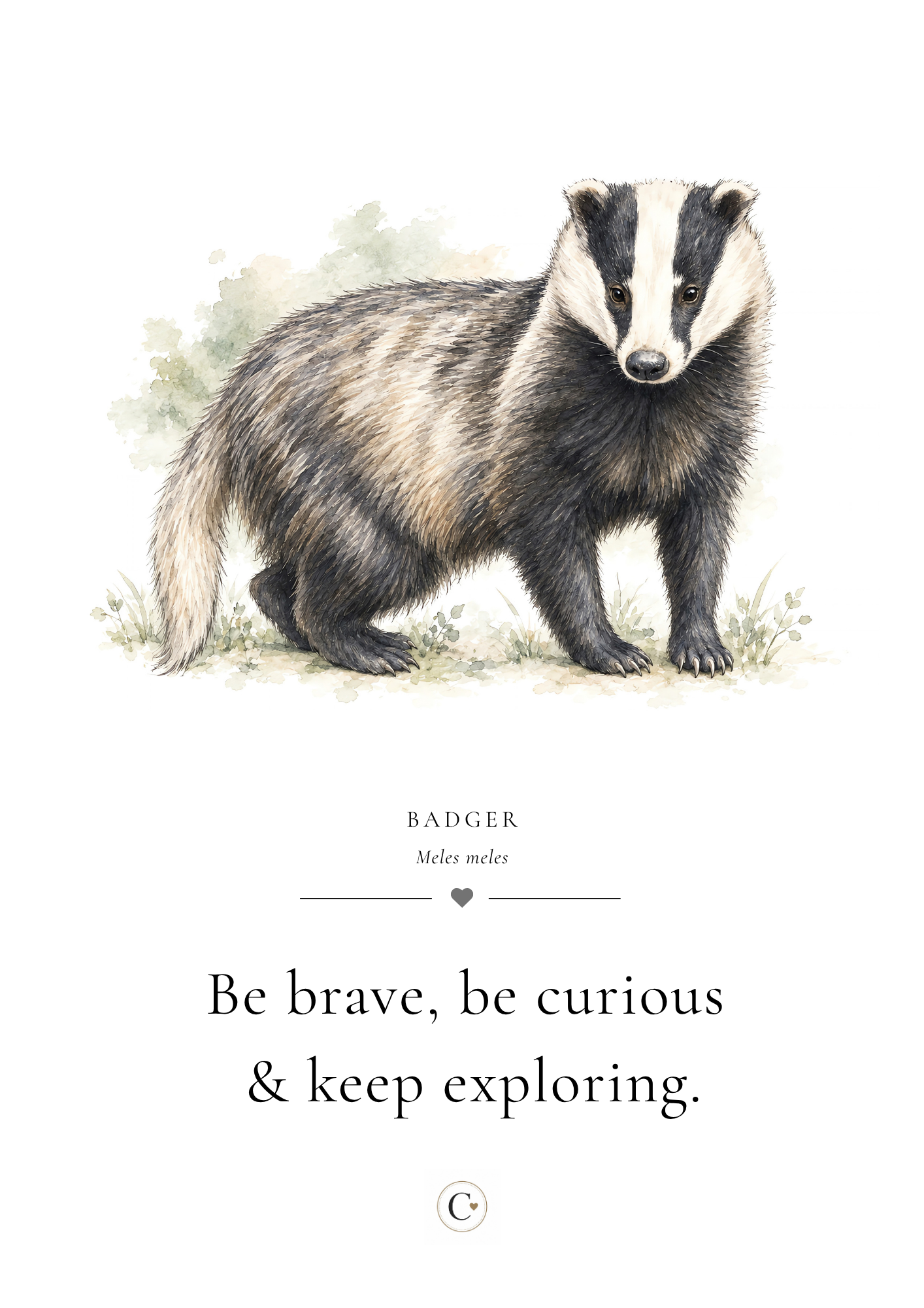 Christmas Gift Badger A4 Print.png