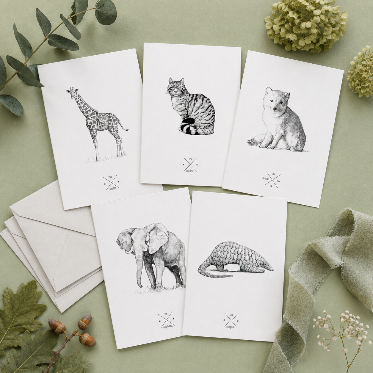 Pack of 5 Cards.PNG
