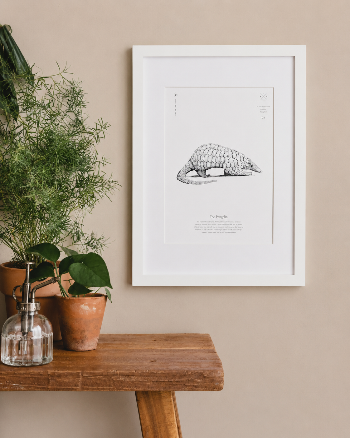 Pangolin Print