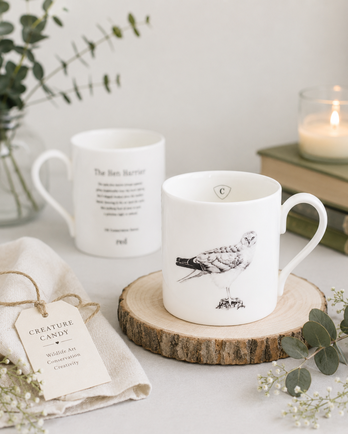 mug hun harrier.PNG