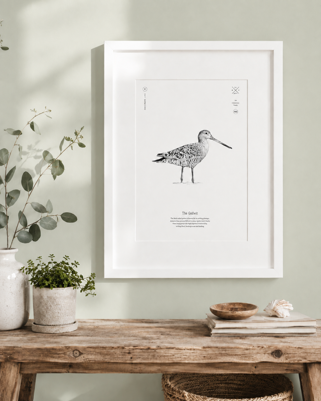 Print black-tailed godwit.PNG
