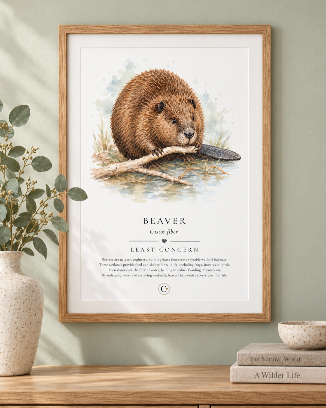 Beaver+Print+Digital+Pack+Shot.png