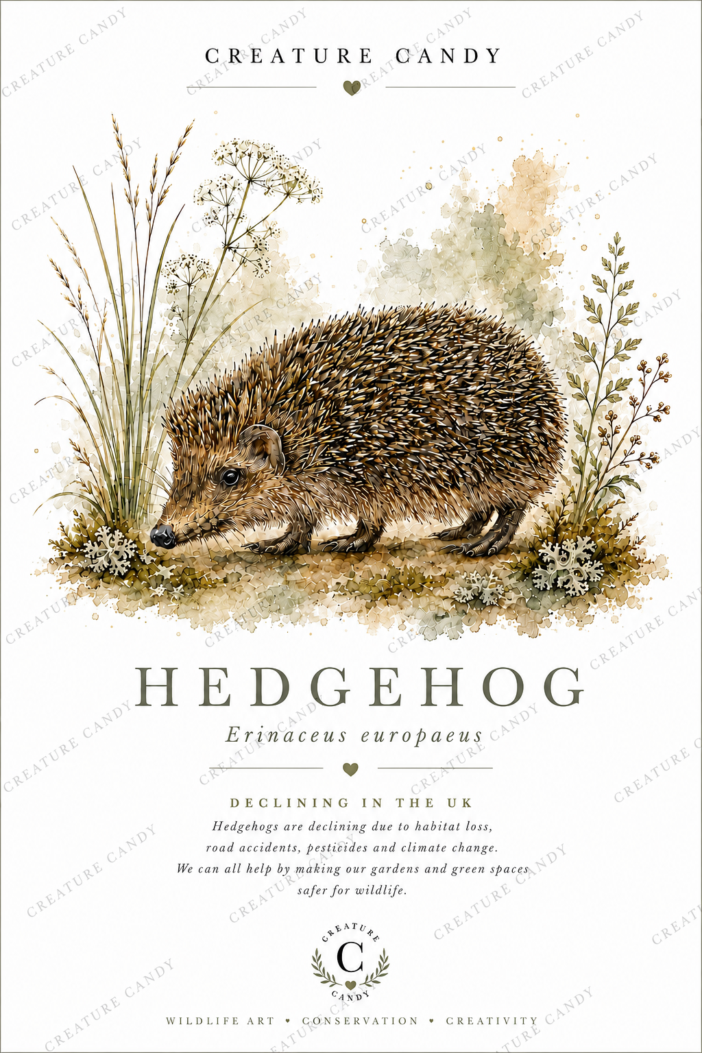 Hedgehog Watermark.PNG