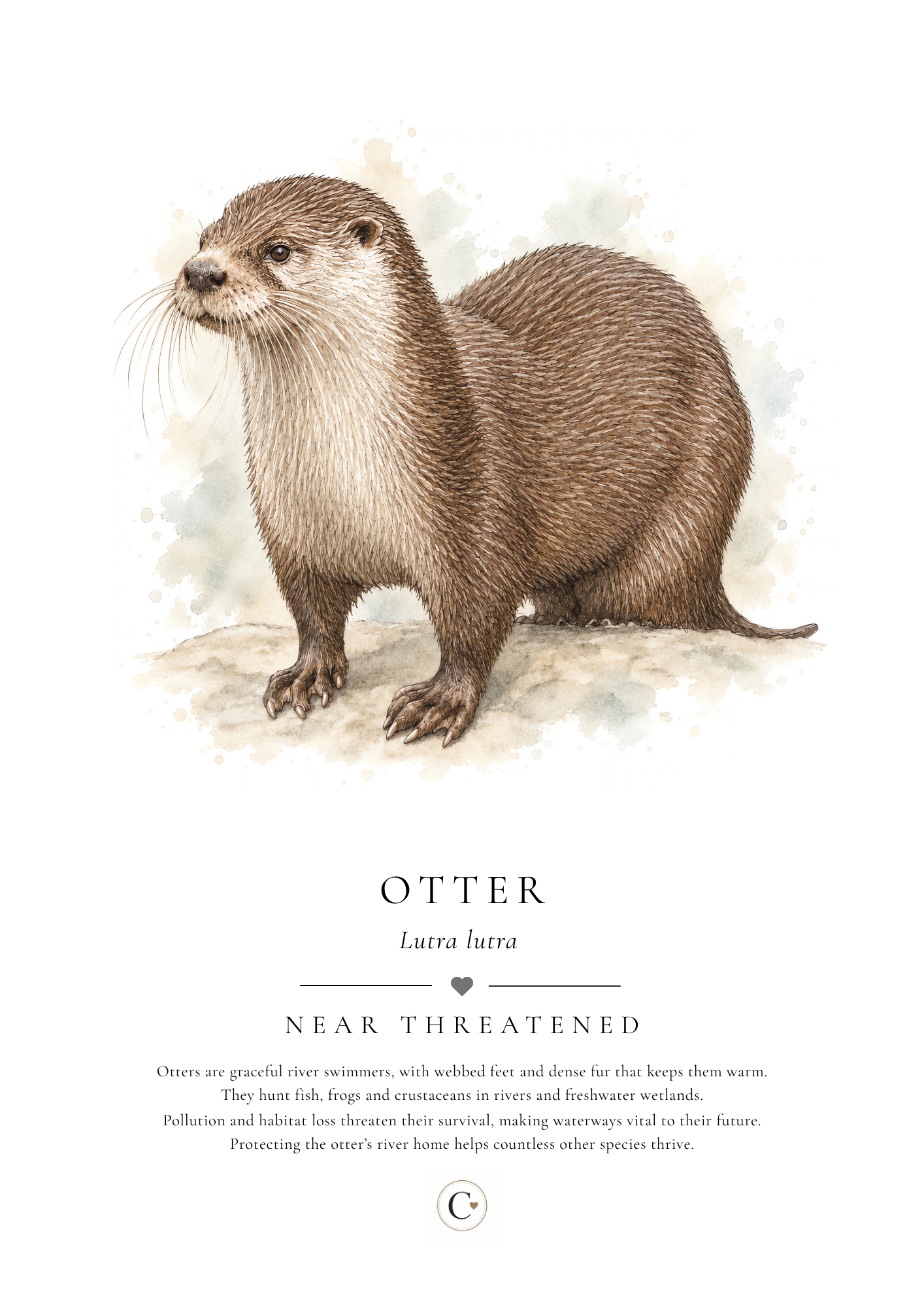 Otter Creature Candy A4 Print.png