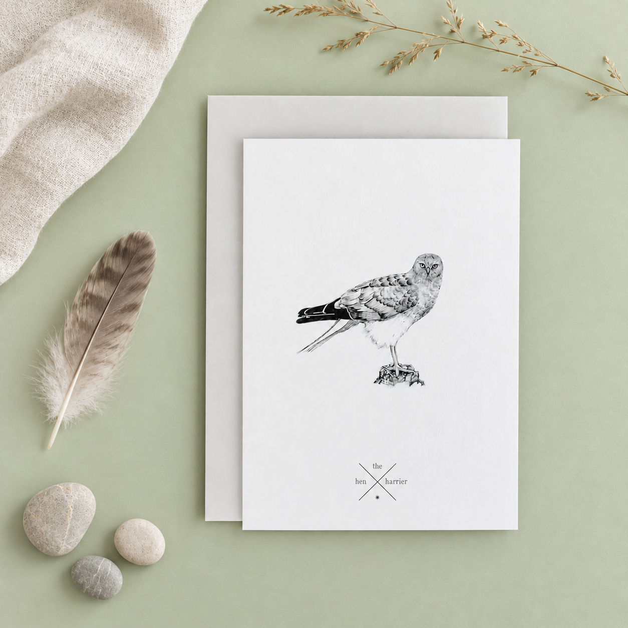 Hen Harrier Card