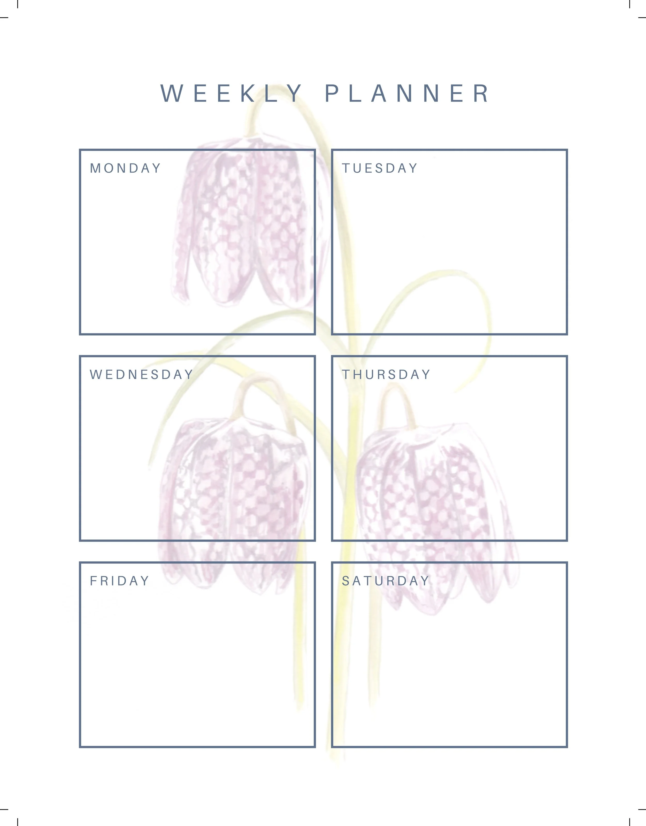 Creature Candy Weekly Planner Fritillary.jpg