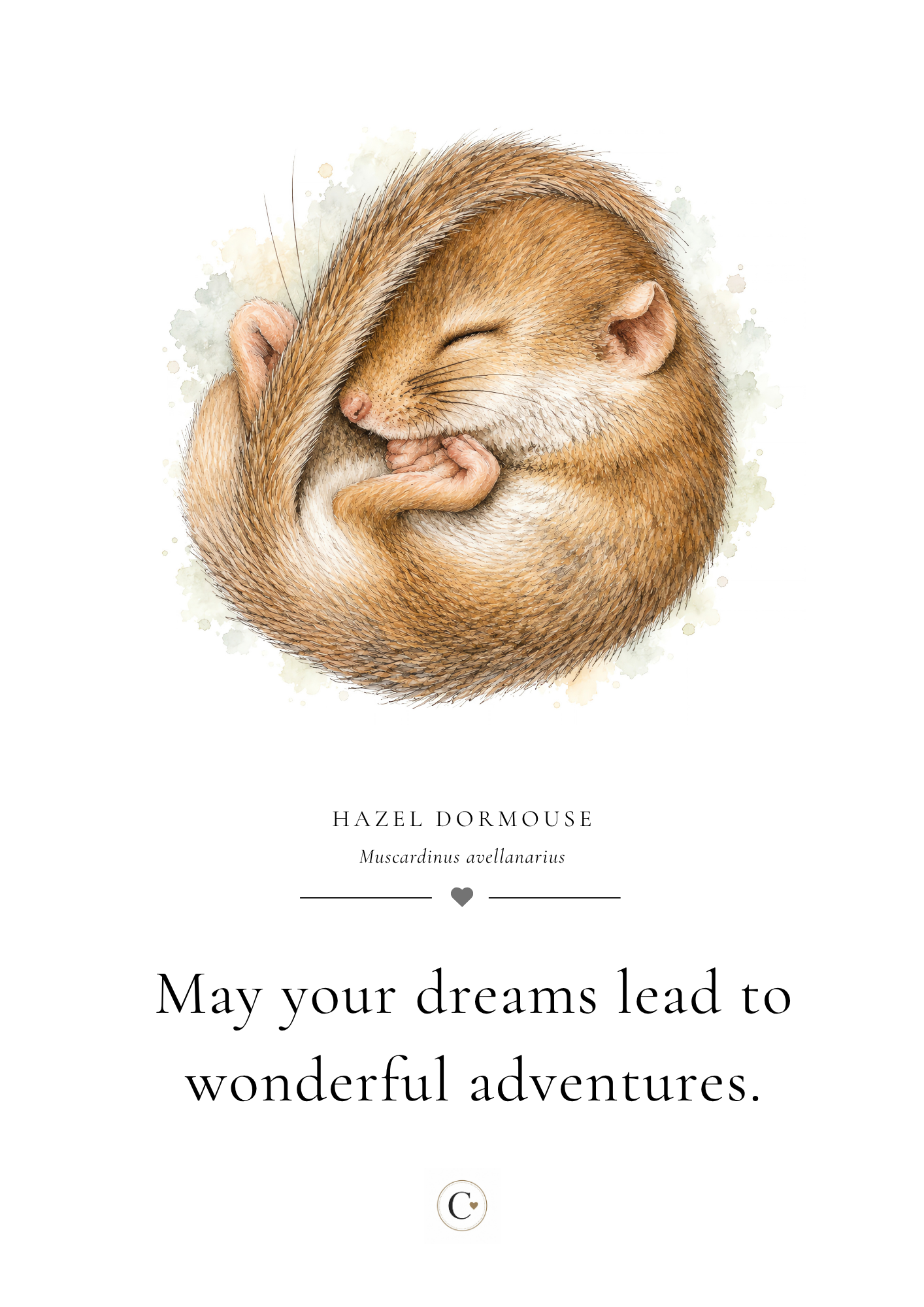 Christmas Gift Dormouse A4 Print.png