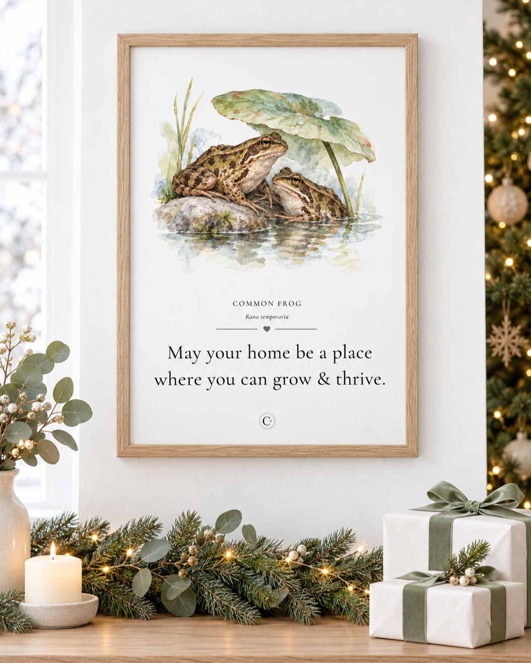 Frog+Print+Pack+Shot+Christmas.png