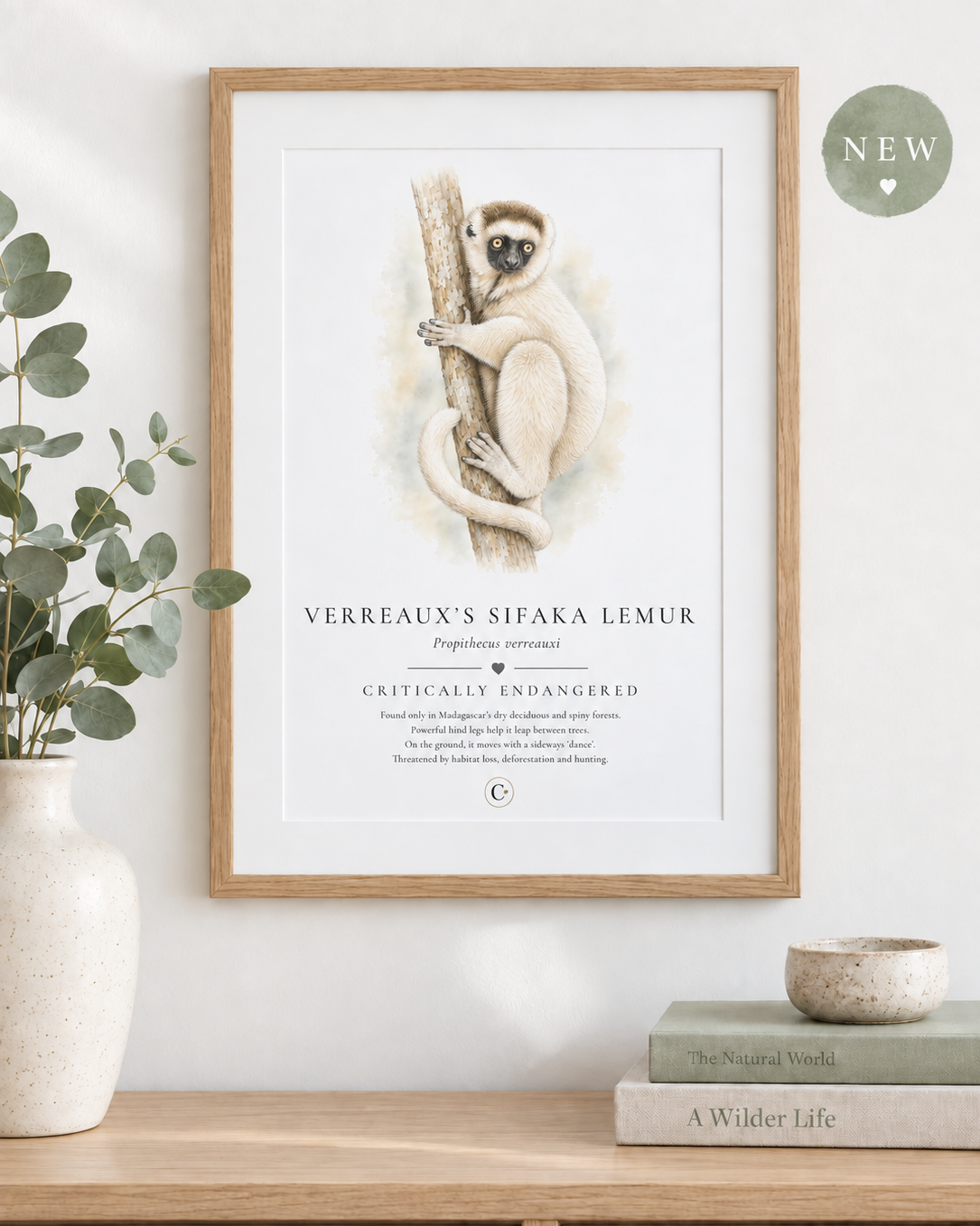 NEW+lemur+print.png