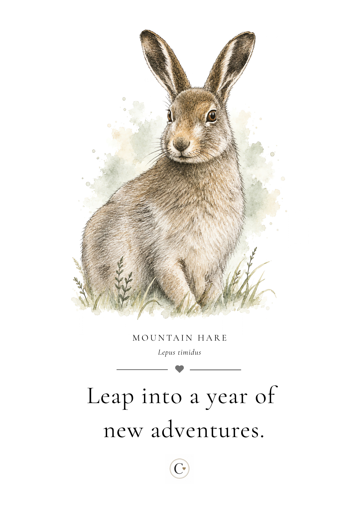 Christmas Gift Hare A4 Print.png