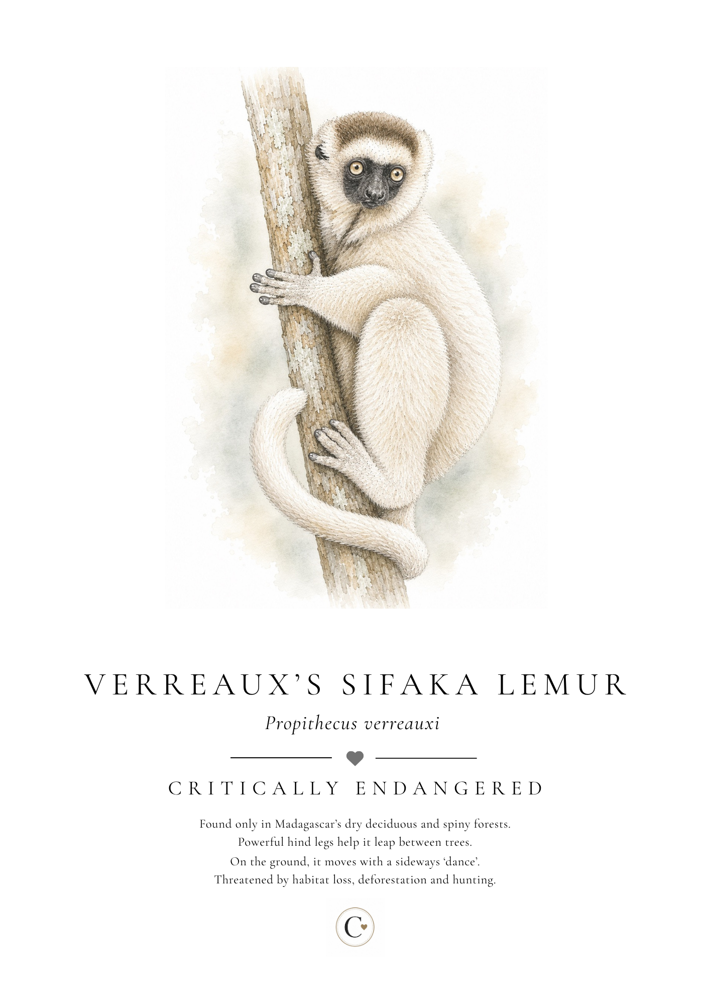 Lemur Creature Candy A4 Print.png
