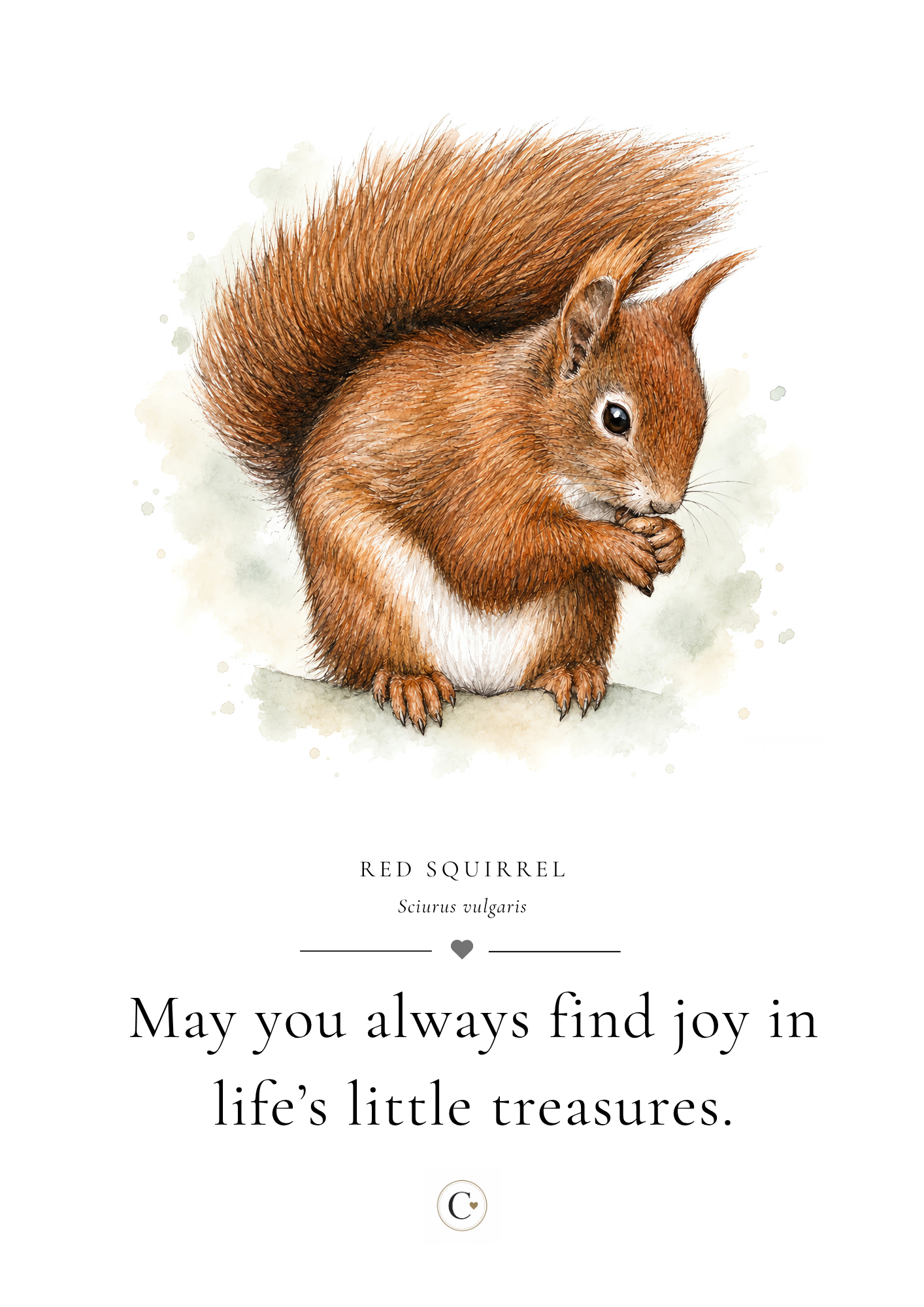 Christmas Gift Squirrel A4 Print.png