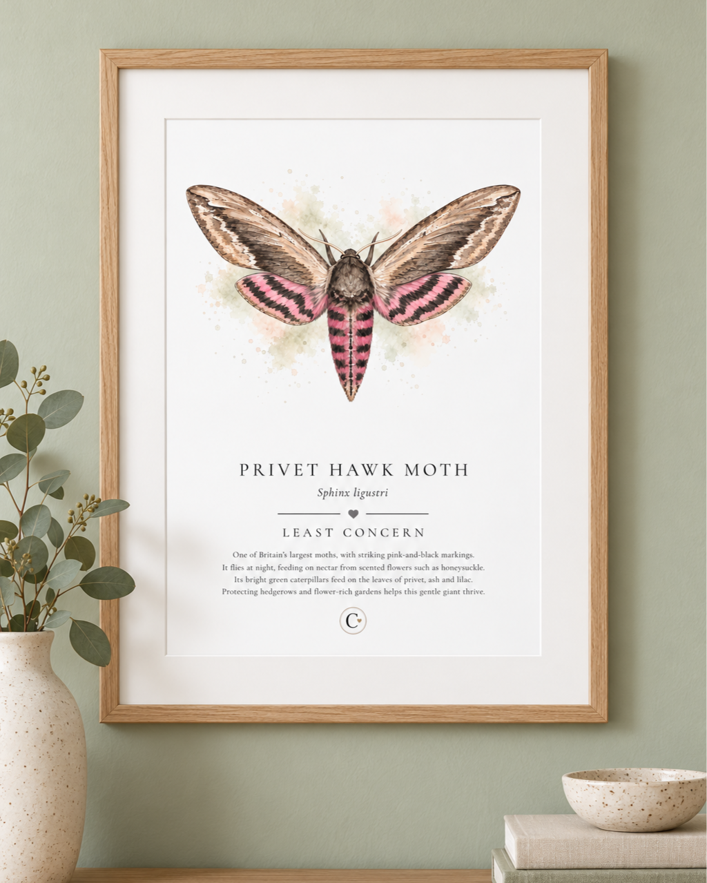 Privet+Hawk+Moth+Digital+Print+Pack+Shot.png