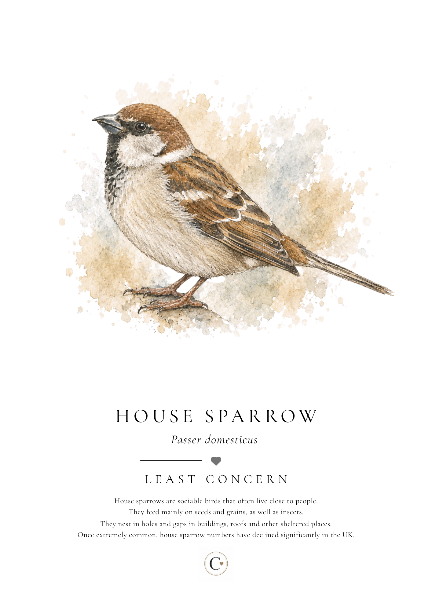 House Sparrow Creature Candy A4 Print.png