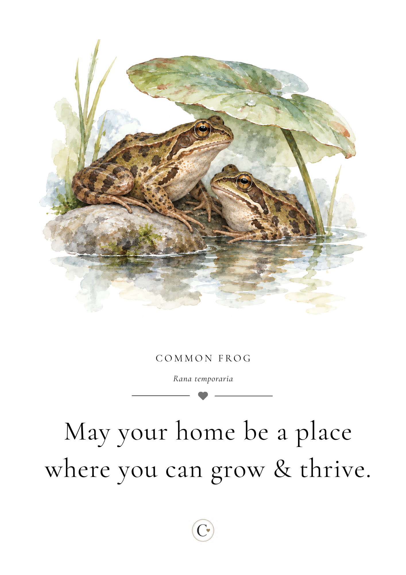 Christmas Gift Frog A4 Print.png