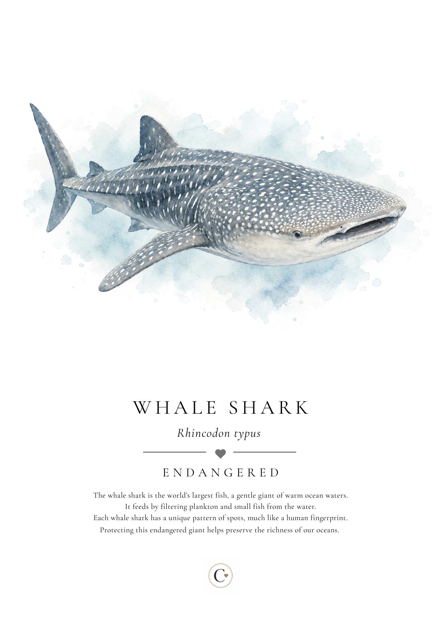 Whale Shark Creature Candy A4 Print.png