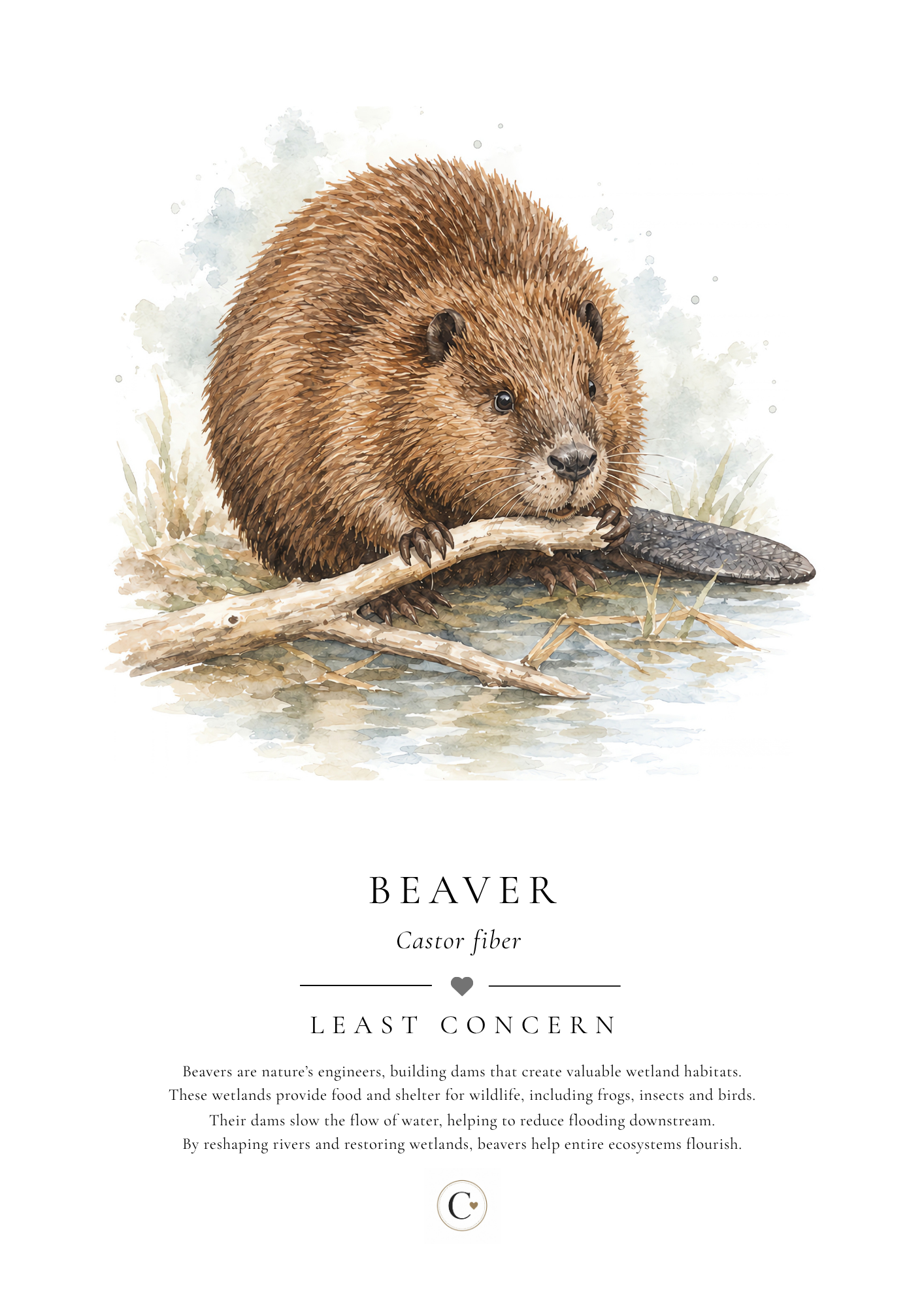 Beaver Creature Candy A4 Print.png